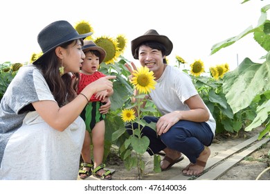 Happy Family Smiling Sunflower Field Stock Photo 476140036 | Shutterstock