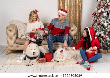Happy family in stylish sweaters and cute funny dogs exchanging gifts at christmas tree with ligths. Emotional moments, new year concept.
