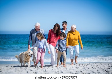 Happy Family With Their Dog At The Beach On A Sunny Day