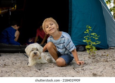 Happy Family, Three Kids, Boy Brothers And A Dog,playing Around Pitched Tent On The Beach, While Wild Camping In Norway, Summertime