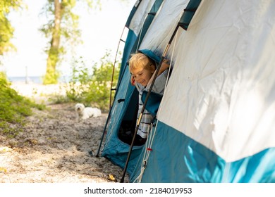 Happy Family, Three Kids, Boy Brothers And A Dog,playing Around Pitched Tent On The Beach, While Wild Camping In Norway, Summertime