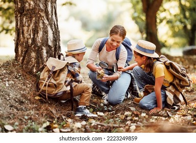 Happy family: two   kids boy and girl  with backpacks looking examining environment through magnifying glass while exploring forest nature  on sunny day during outdoor ecology school lesson - Powered by Shutterstock