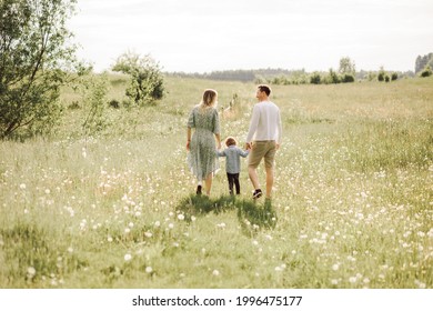 Happy Family Walking In Meadow Of Blooming Flowers From Behind, Dad Mom And Son, Rear View Photo