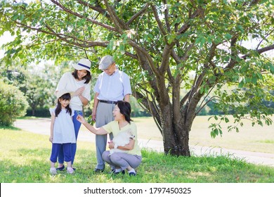 Happy Family Walking In A Park