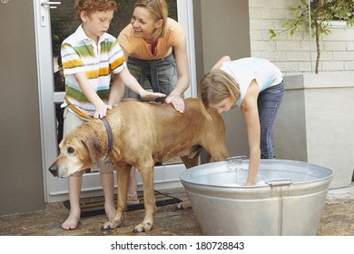 Happy Family Washing Their Dog