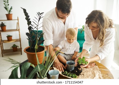 Happy family working at home. Transplanting plants with their child - Powered by Shutterstock