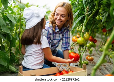 Happy Family Working In Organic Greenhouse. Woman And Child Growing Bio Plants In Farm Garden.