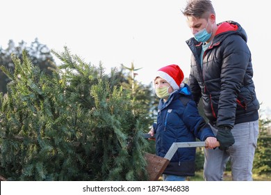 Happy Family Young Father And Son Lying A Christmas Tree In A Cart At Cut Your Own Farm. Mixed Race Asian-German Wearing Surgical Face Mask Picking Xmas Tree During Coronavirus Lockdown, New Normal.