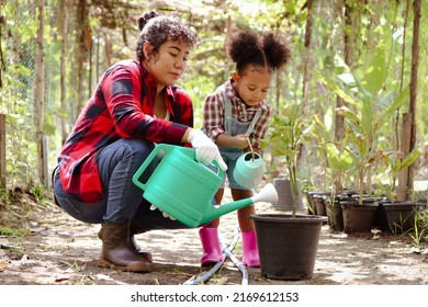 Happy farmer family work together in agriculture or farming, mother gardener and African daughter girl with black curly hair watering plant, child education of nature and plant growing learn activity - Powered by Shutterstock