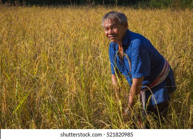 32,349 Asian farmer smiling Images, Stock Photos & Vectors | Shutterstock