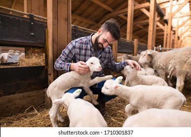 Happy Farmer Playing With Animals At Farm.