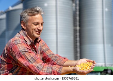 Happy Farmer Showing Freshly Harvested Corn Maize Grains Against Grain Silo. Farmer's Hands Holding Harvested Grain Corn. Farmer With Corn Kernels In His Hands In Front Of Farm Grain Bin.