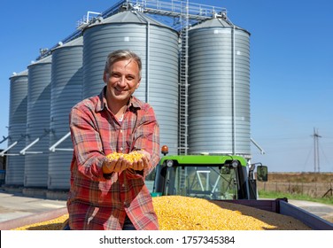 Happy Farmer Showing Freshly Harvested Corn Grains Against Grain Silos. Farmer with Corn Kernels in His Hands Sitting in Trailer Full of Corn Seeds. Farmer's Hands Holding Harvested Grain Corn. 