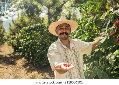 Happy farmer showing his freshly harvested Arábica coffee beans. - Powered by Shutterstock