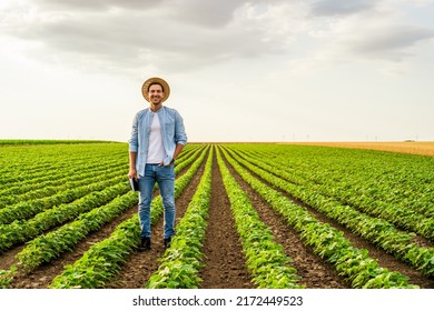 Happy Farmer Is Standing In His Growing  Soybean Field.