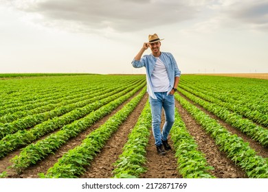 Happy Farmer Is Standing In His Growing  Soybean Field.