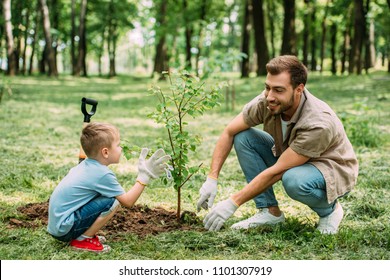 Shutterstock com официальный сайт фотопечать картины