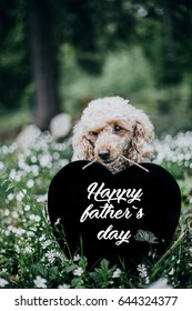 Happy Father`s day 