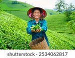 Happy female agriculturist wearing non la hat smiling with showing tea leaves from picking on Long Coc Tea Hill in farmland at Vietnam