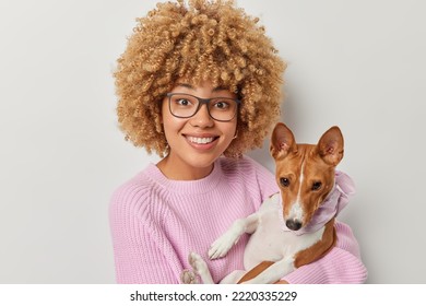 Happy female animal lover poses with pedigree basenji dog on hands smiles gladfully enjoy having free time for walking wears transparent eyeglasses and knitted jumper isolated over grey background - Shutterstock ID 2220335229