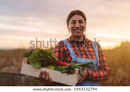 Similar – Image, Stock Photo Greenhouse Market garden