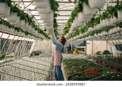 Happy female ginger horticulturist standing at greenhouse with pot of saplings in hands and taking care of plants and flowers. Smiling florist arranging pots of flowers at greenhouse plant nursery. - Powered by Shutterstock