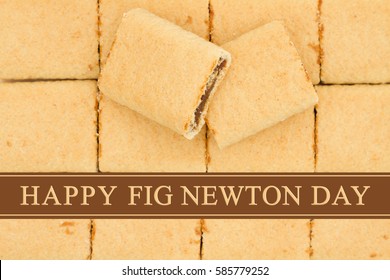 national fig newton day images