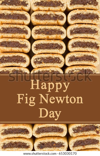 national fig newton day images