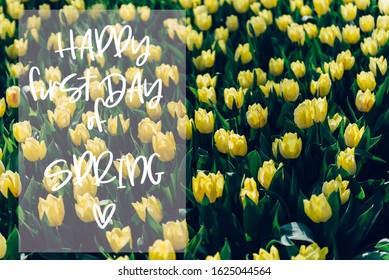 Happy First Day Of Spring Phrase In The Frame. Flowerbeds Of Blossoming Tulips During Spring. One Of The World's Largest Flower Gardens In Lisse, The Netherlands.