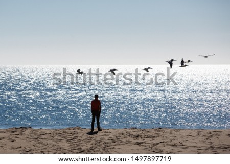 Similar – a woman looks at the sea. rear view, blurred