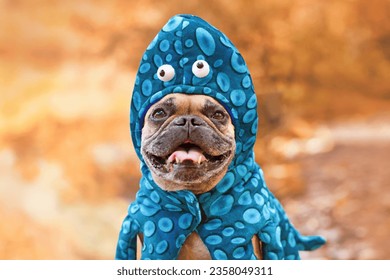 Happy French Bulldog dog wearing funny octopus Halloween costume with funny eyes 