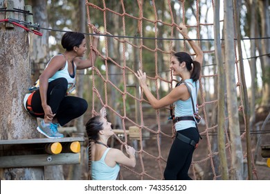 Happy friends climbing a net during obstacle course in adventure park - Powered by Shutterstock