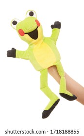 A Happy Frog Puppet, Hand Puppet Animal