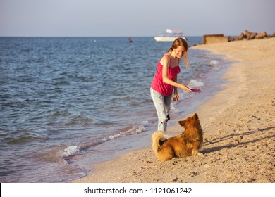 Happy Fun Weekend By The Sea - Girl Playing With A Dog On The Beach. Summer
