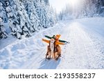 Happy funny children ride wooden retro sleds on snowy road in mountains. Family on winter walk.