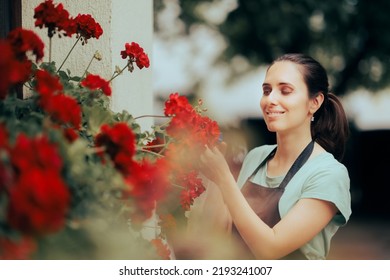 
Happy Gardener Watering Beautiful Red Decorative Flowers. Professional Housekeeper Taking Care Of Home Plants
