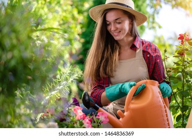 Happy gardener woman in hat watering flowers with watering can in home garden. Gardening and floriculture - Shutterstock ID 1464836369
