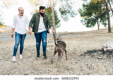 The Happy Gay Couple Plays With Their Dogs Outside. Lgtb Family Enjoying Themselves As A Family