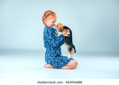La fille heureuse et un beagle chiot sur fond gris : photo de stock