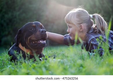 Happy Girl And Dog In The Sunshine. The Dog Is Big And Scary - Rottweiler. Green Grass, Park, Sunset