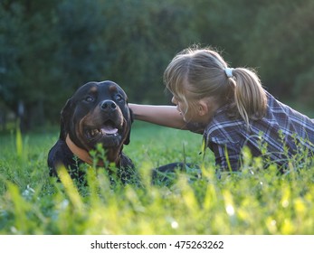 Happy Girl And Dog In The Sunshine. The Dog Is Big And Scary - Rottweiler. Green Grass, Park, Sunset