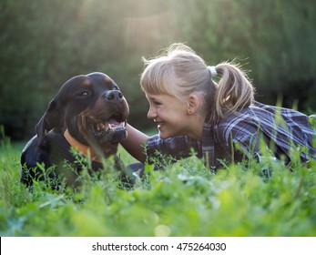 Happy Girl And Dog In The Sunshine. The Dog Is Big And Scary - Rottweiler. Green Grass, Park, Sunset