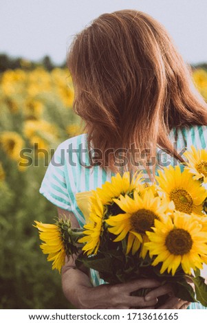 Similar – Image, Stock Photo Sunflowers Field at Sunset.Nature Background