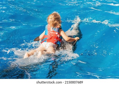 A happy girl rides a dolphin. The child is wearing a life jacket. Healthy lifestyle