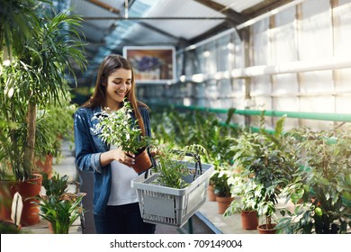 Happy Girl Shopping For Plants In A Greenery Store. Planning To Redesign Her Backyard.