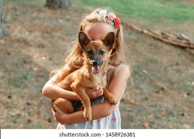 Happy Girl Take A Dog From Shelter.  Animal Care Concept