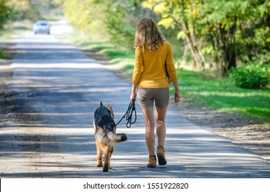 A happy girl walks away on a road in the woods with a German shepherd dog. The view from the back. A young teen puppy is a loyal friend guarding his mistress. On a yellow-green background of trees. - Powered by Shutterstock