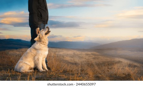 A happy golden retriever enjoys being petted on a mountain peak at sunset. Walking with the dog. Traveling with a dog. - Powered by Shutterstock