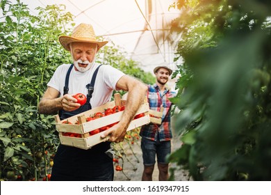 5,210 Indoor Farmers Market Images, Stock Photos & Vectors | Shutterstock