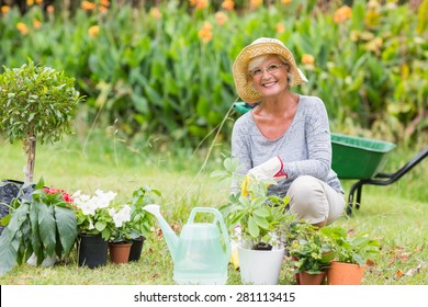 Happy grandmother gardening on a sunny day - Powered by Shutterstock